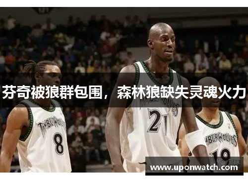 芬奇被狼群包围，森林狼缺失灵魂火力